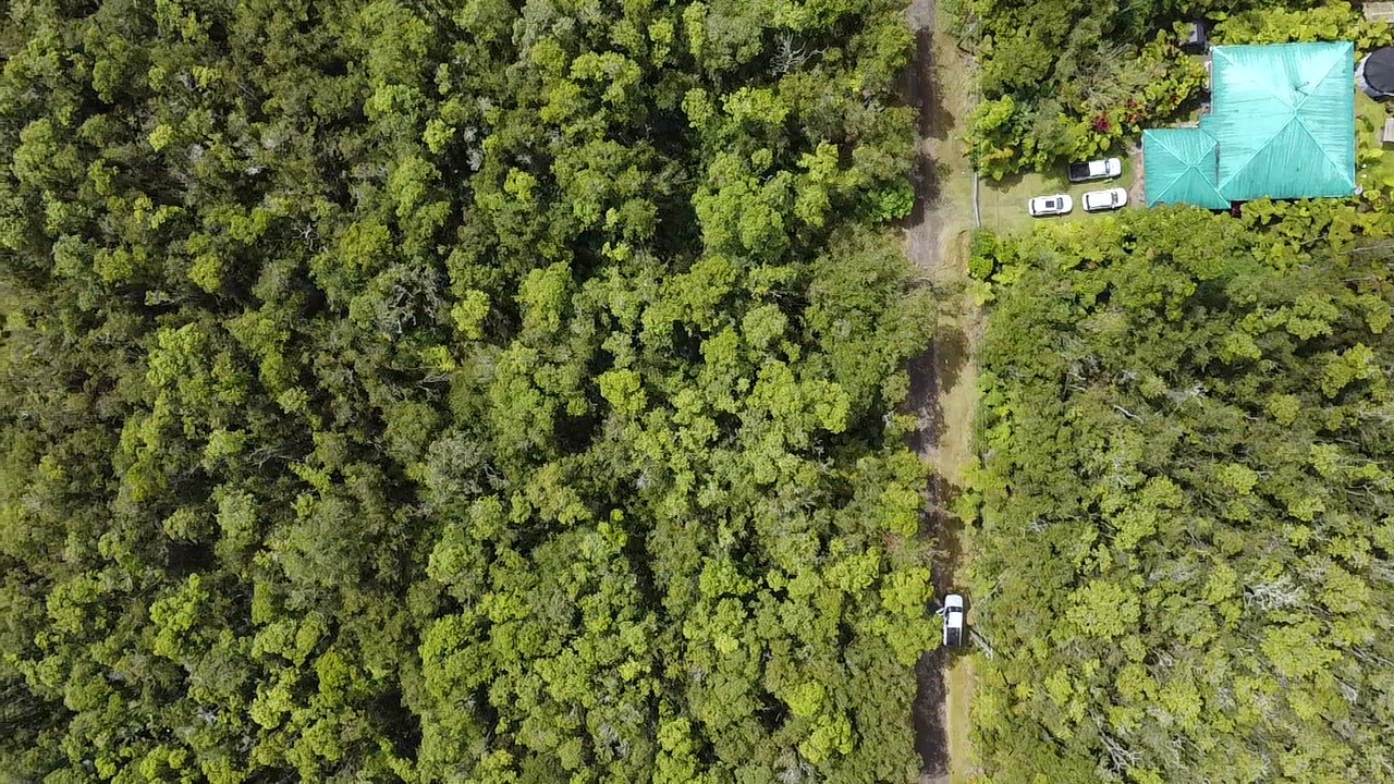 604 Road 11 Volcano Hi 96785 Mountain View, HI 96771 - Photo 11 of 12