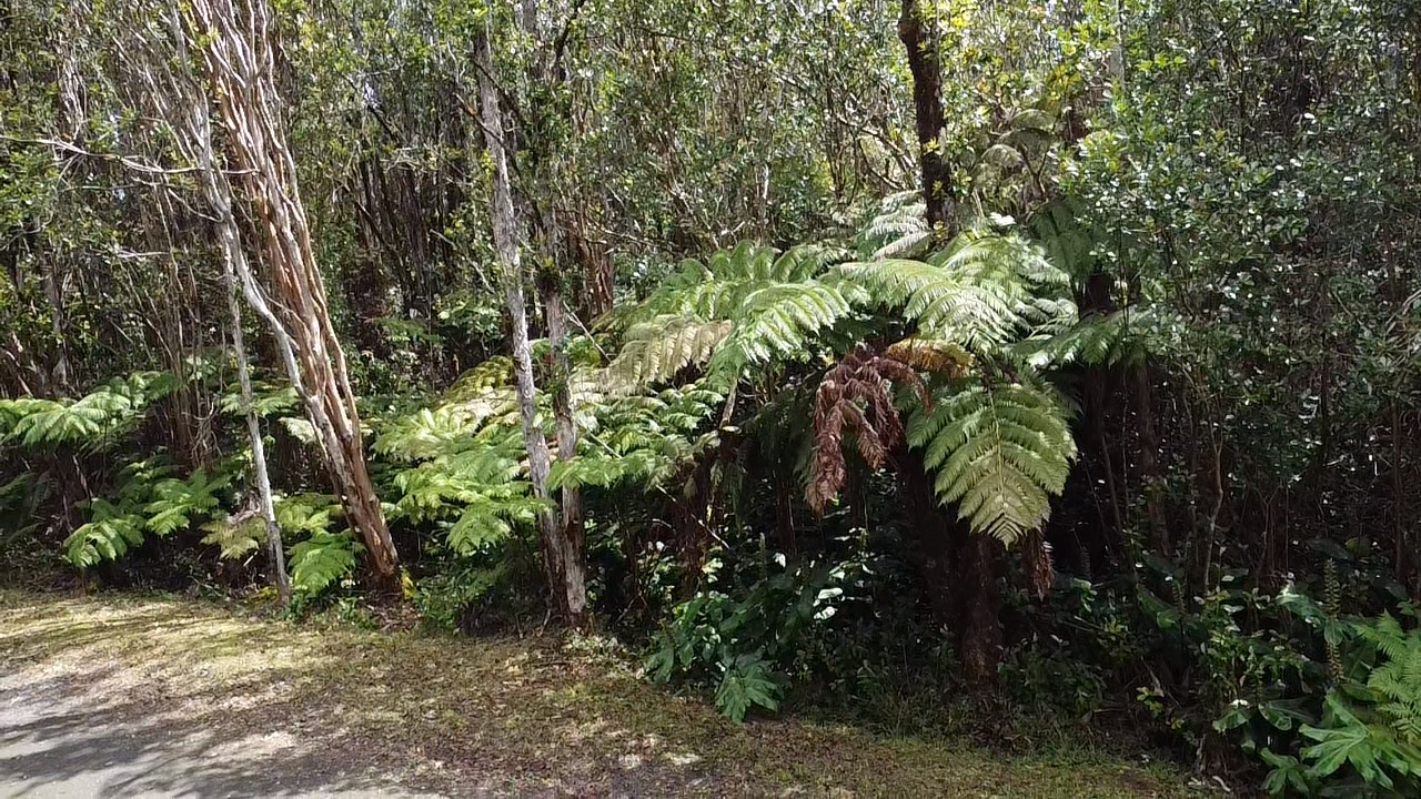 604 Road 11 Volcano Hi 96785 Mountain View, HI 96771 - Photo 4 of 12