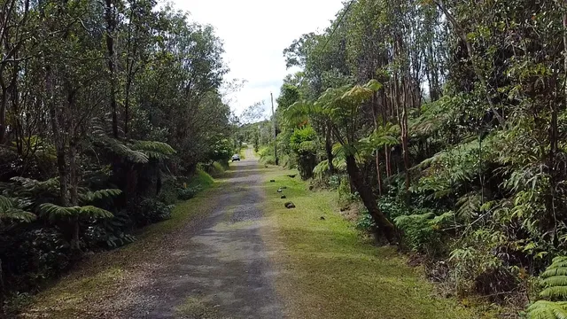 $39,000 | 604 Road 11 Volcano Hi 96785, Mountain View, HI 96771