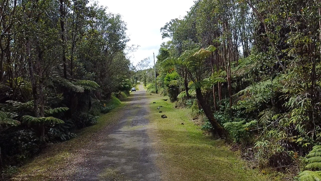 604 Road 11 Volcano Hi 96785 Mountain View, HI 96771 - Photo 5 of 12