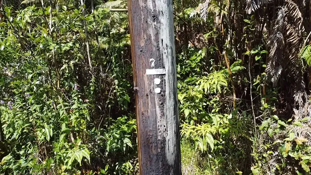 $39,000 | 604 Road 11 Volcano Hi 96785, Mountain View, HI 96771