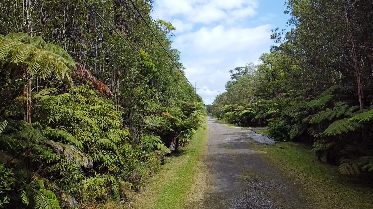 604 Road 11 Volcano Hi 96785 Mountain View, HI 96771 - Photo 7 of 12