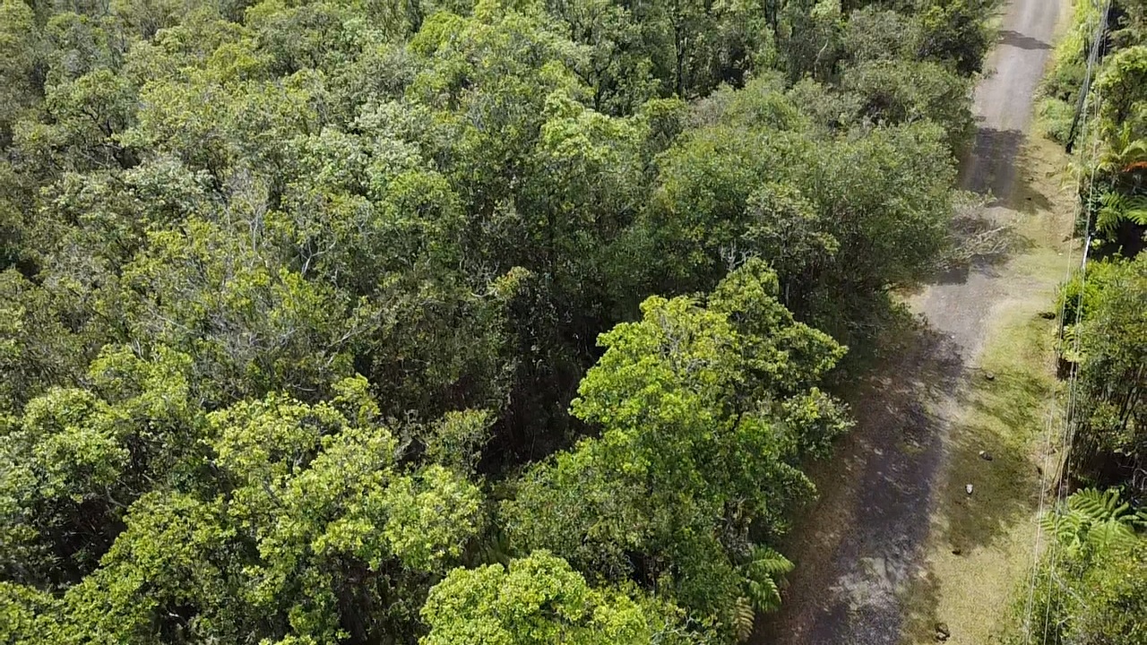 604 Road 11 Volcano Hi 96785 Mountain View, HI 96771 - Photo 8 of 12