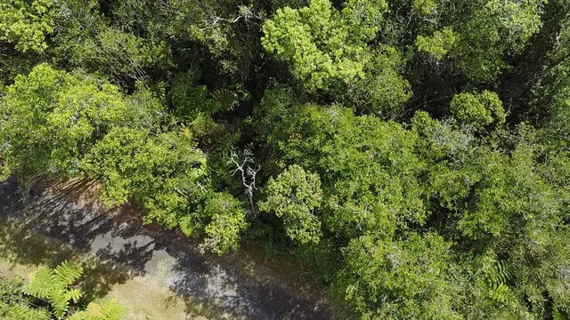 $39,000 | 604 Road 11 Volcano Hi 96785, Mountain View, HI 96771