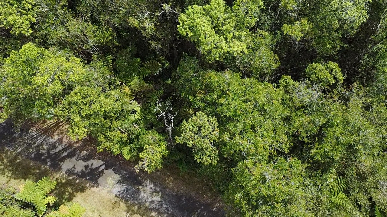 604 Road 11 Volcano Hi 96785 Mountain View, HI 96771 - Photo 10 of 12