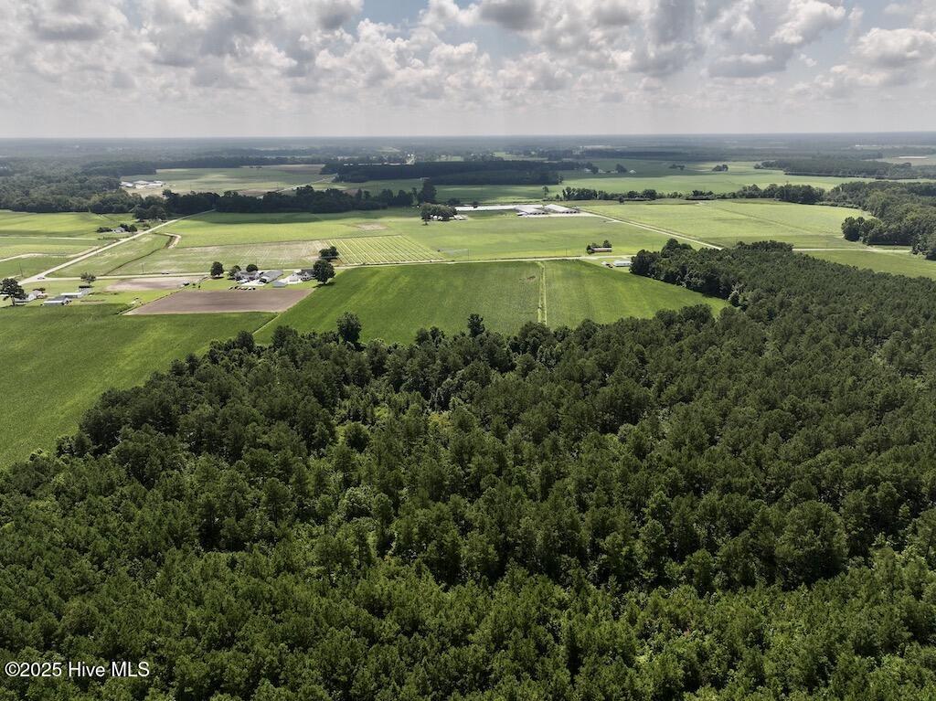 3 Albritton Road Snow Hill, NC 28580 - Photo 24 of 27 18