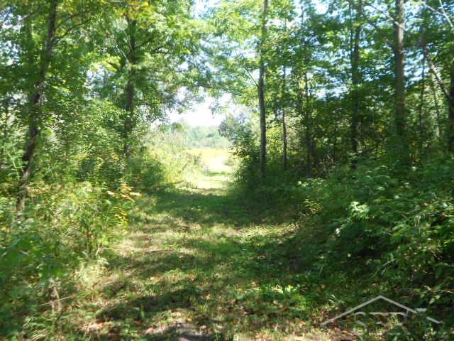 7606 South Fordney Road St. Charles, MI 48655 - Photo 39 of 41