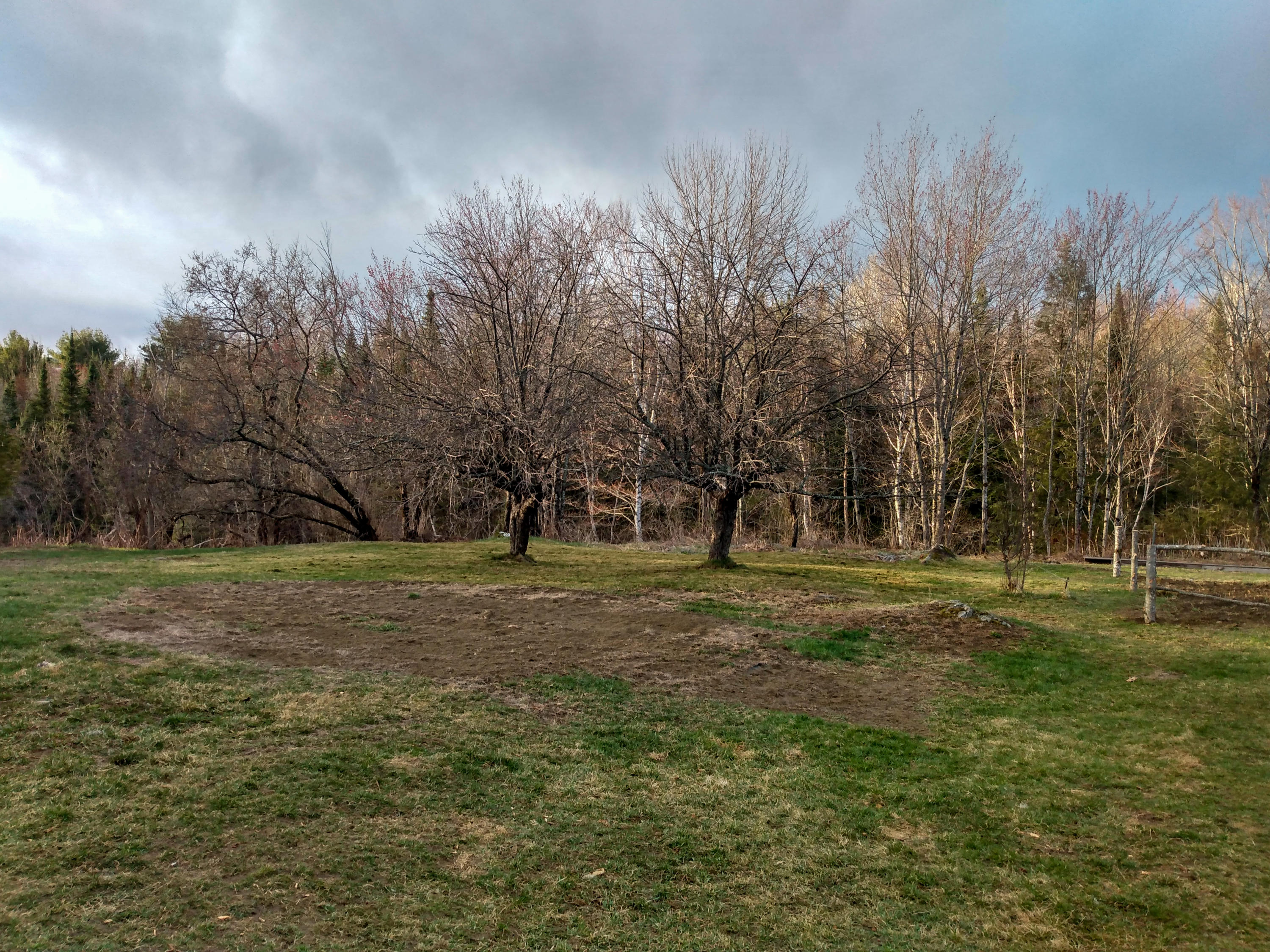 32 Springfield Road Winn, ME 04495 - Photo 7 of 50 6. Fruit Trees