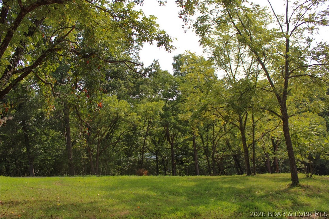 101 Swinging Bridges Road Brumley, MO 65017 - Photo 9 of 57 Gallery Image 9