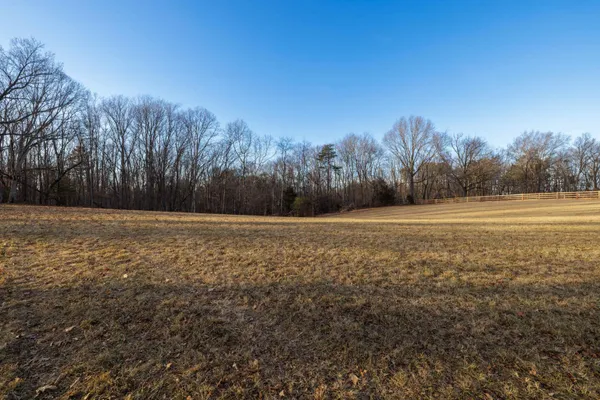 a view of dirt field with trees in background