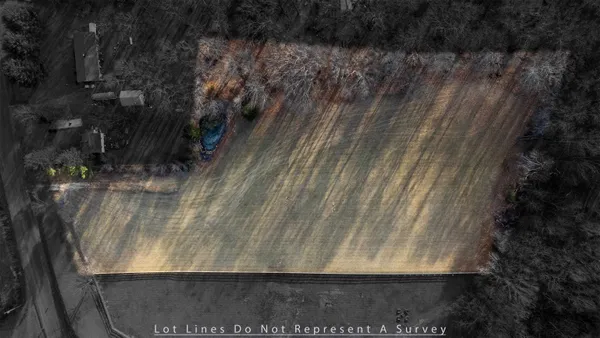 a view of dirt yard with a large tree