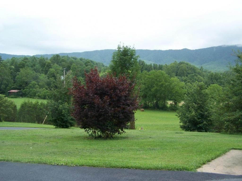 475 Sink Valley Road Butler, TN 37640 - Photo 6 of 24 BEAUTIFUL VIEWS