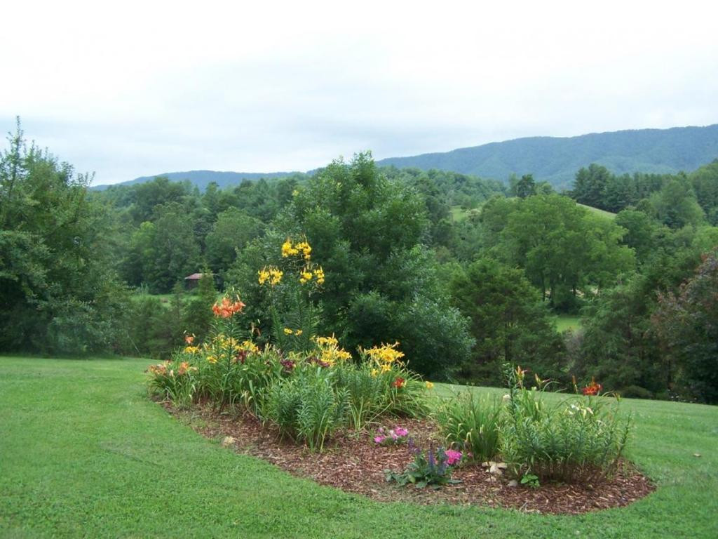 475 Sink Valley Road Butler, TN 37640 - Photo 8 of 24 Beautiful Flower Beds