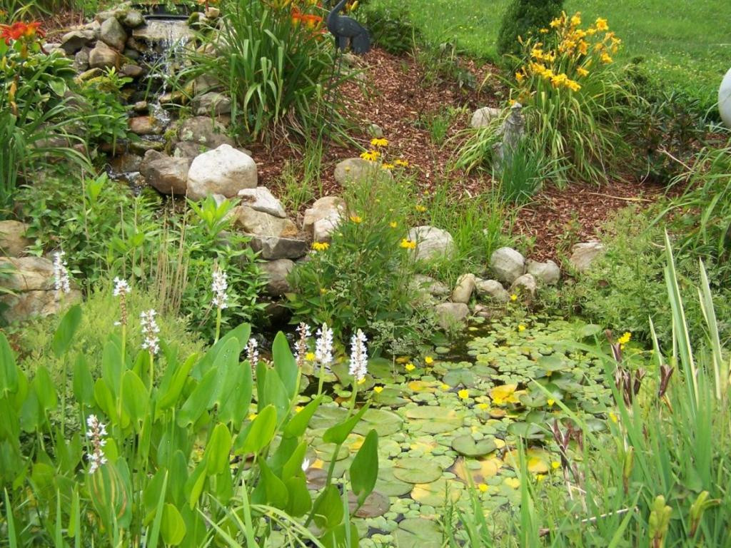 475 Sink Valley Road Butler, TN 37640 - Photo 9 of 24 Decorative Waterfall Pond