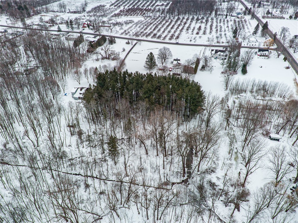 1993 Bailey Road Ontario, NY 14519 - Photo 33 of 37 The parcel is partially wooded