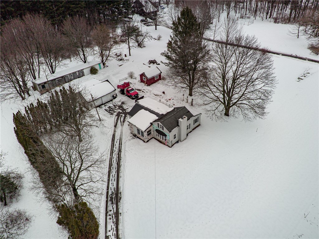 1993 Bailey Road Ontario, NY 14519 - Photo 6 of 37 You can see the chicken coop, shed, barn, workshop