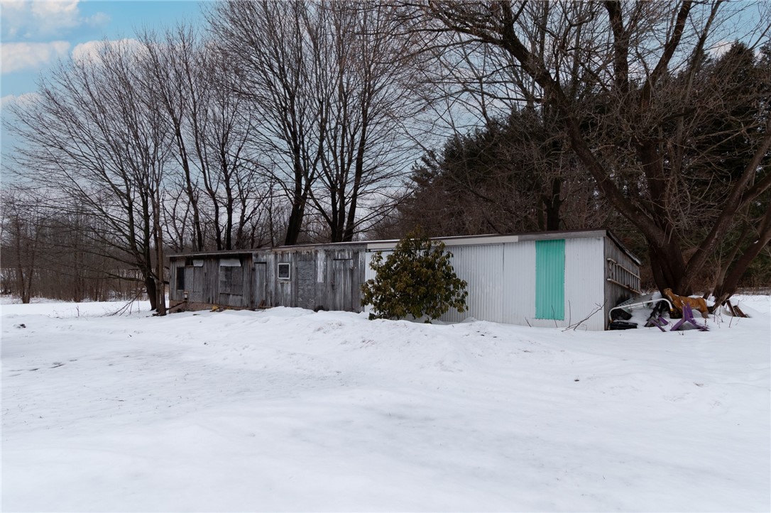 1993 Bailey Road Ontario, NY 14519 - Photo 7 of 37 The shed and the chicken coop!
