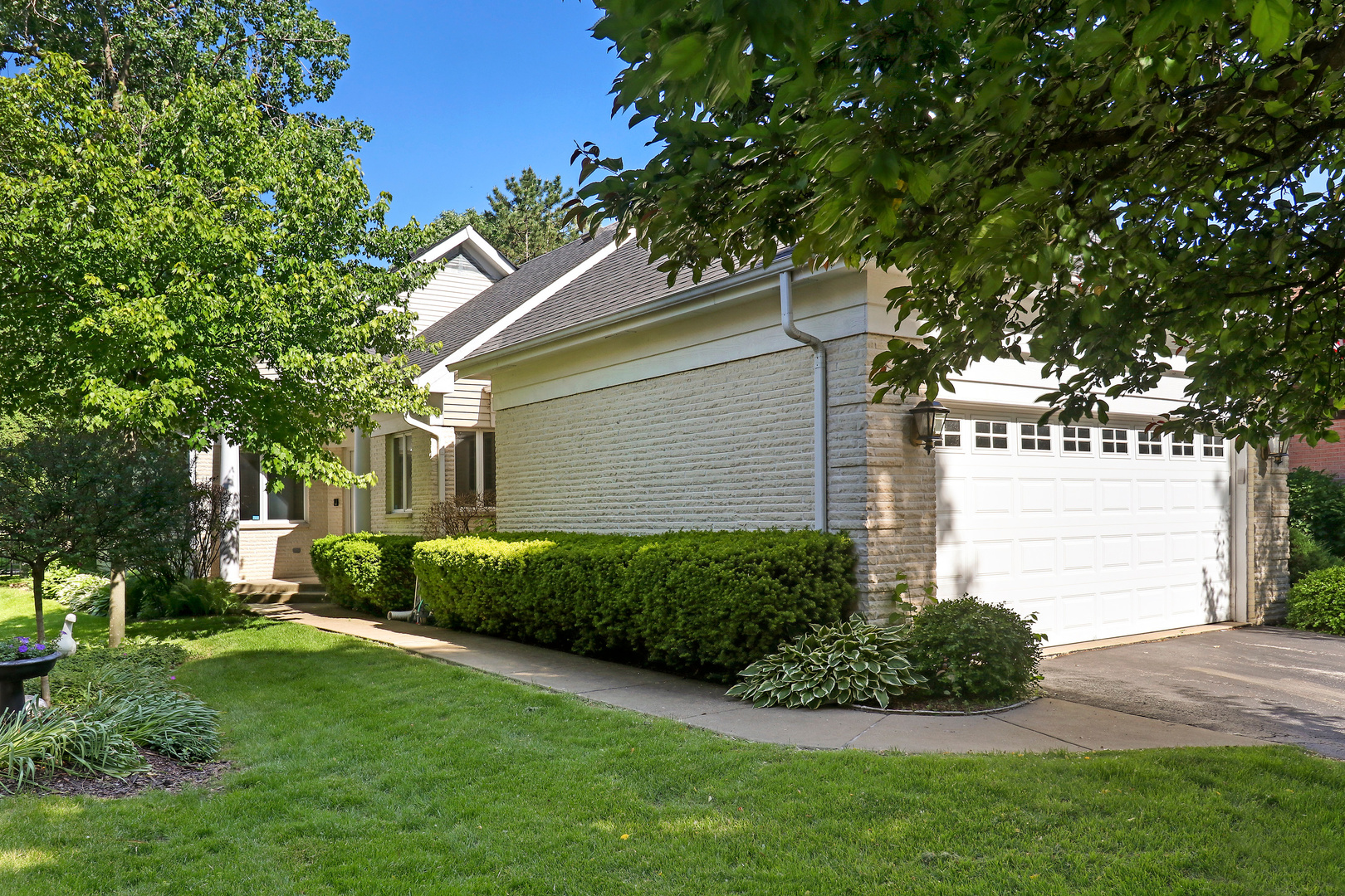 a view of backyard with potted plants and a large tree