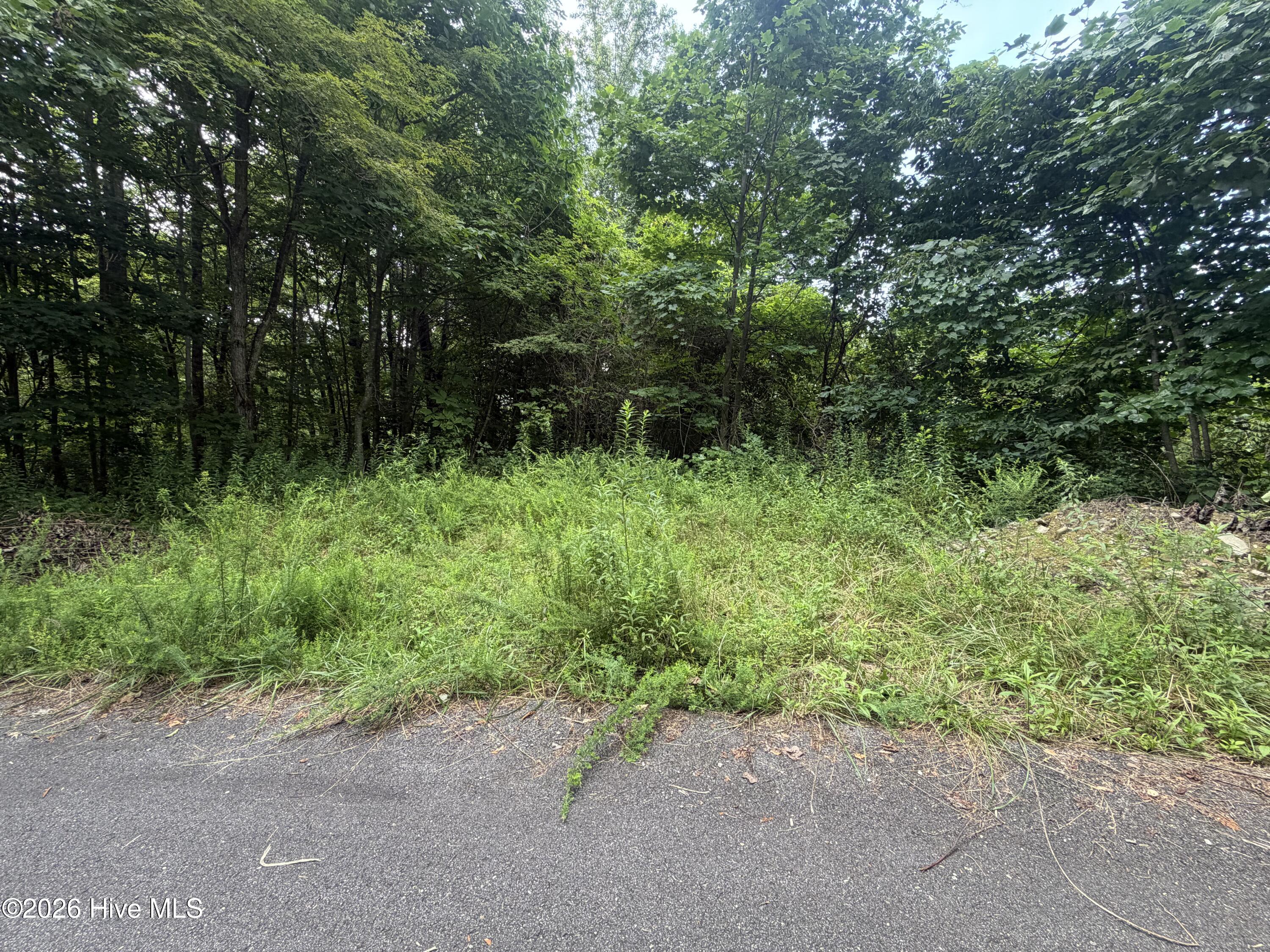 Lot#30 Highlander Road Topton, NC 28781 - Photo 3 of 9 Gallery Image 3