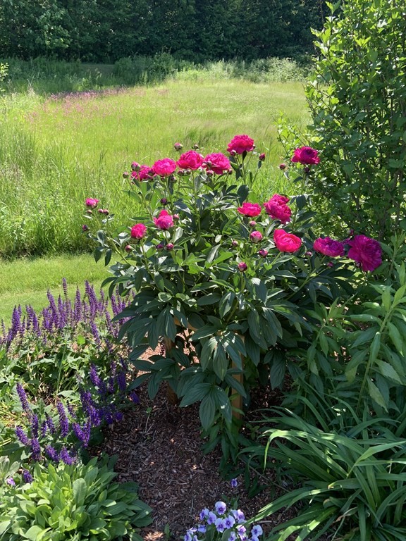 23 Village Road Pepperell, MA 01463 - Photo 41 of 42 Gallery Image 41
