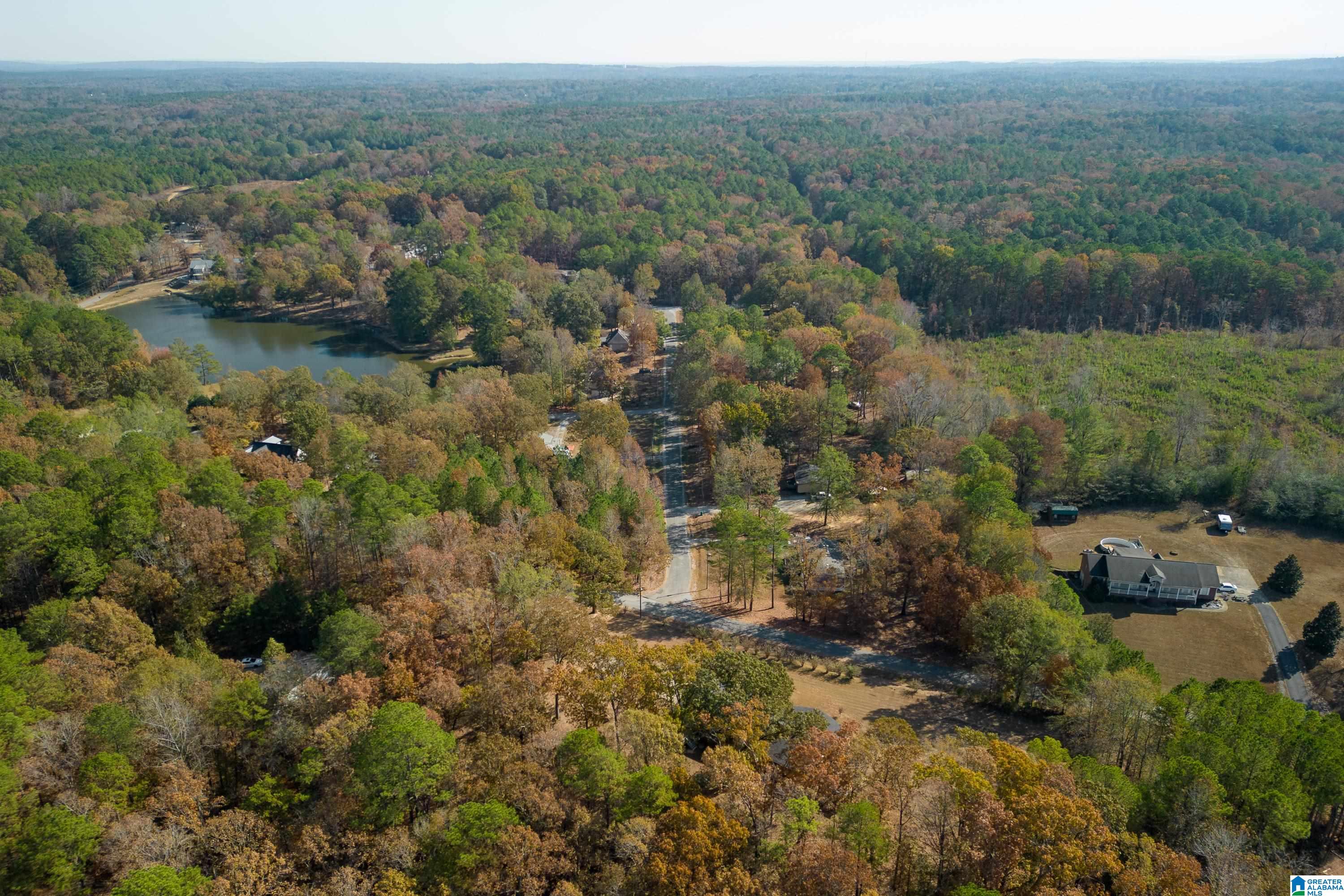 13026 Hobby Horse Road Vance, AL 35490 - Photo 46 of 48