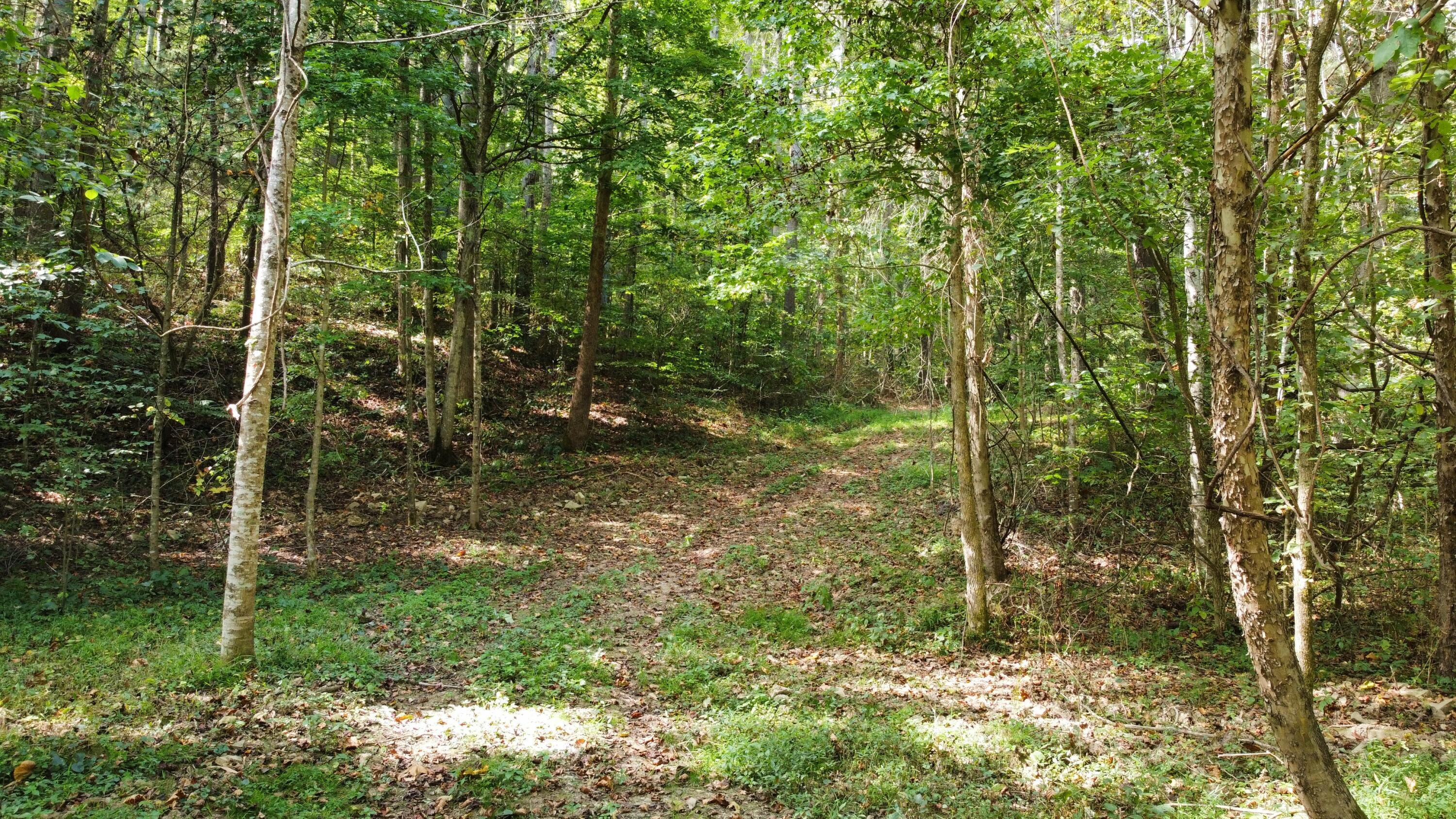 0 Beech Fork Road Peebles, OH 45660 - Photo 3 of 31 dji_export_1757780327310