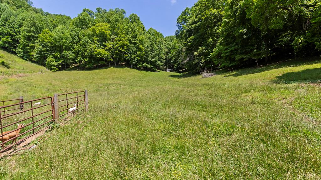 1651 Winding Stairs Road Topton, NC 28781 - Photo 68 of 100