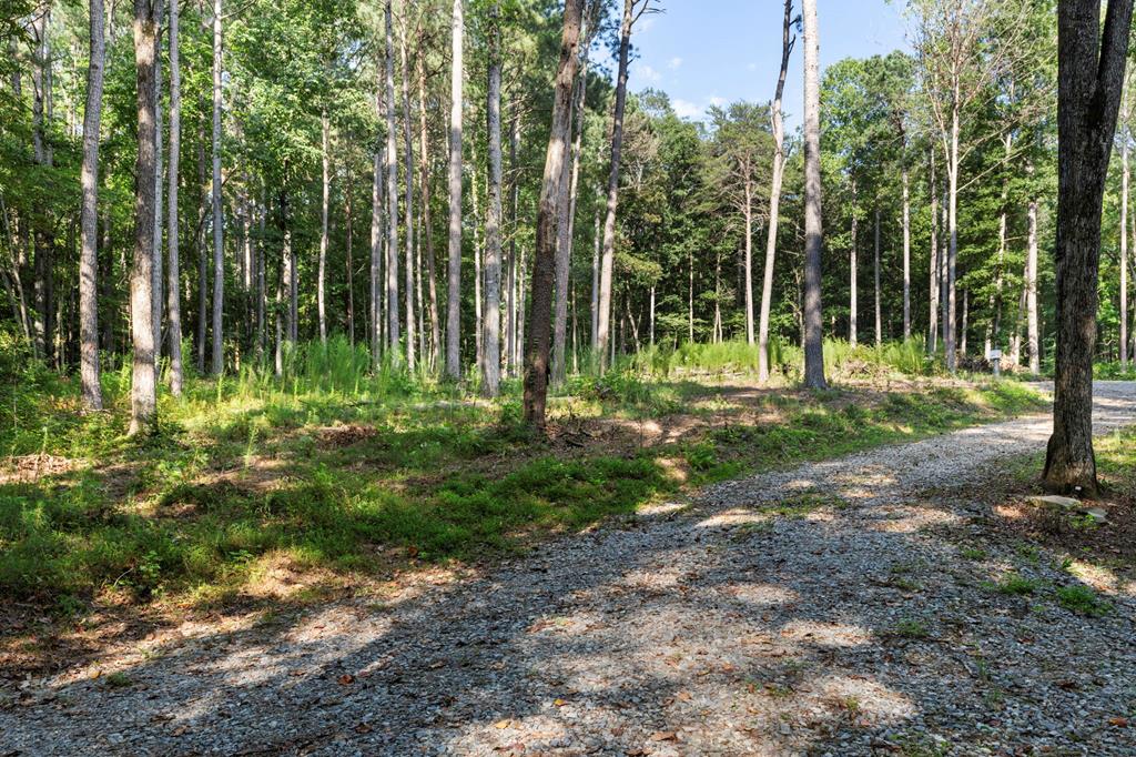 1080 Holt Road Ellijay, GA 30536 - Photo 1 of 17 Main View
