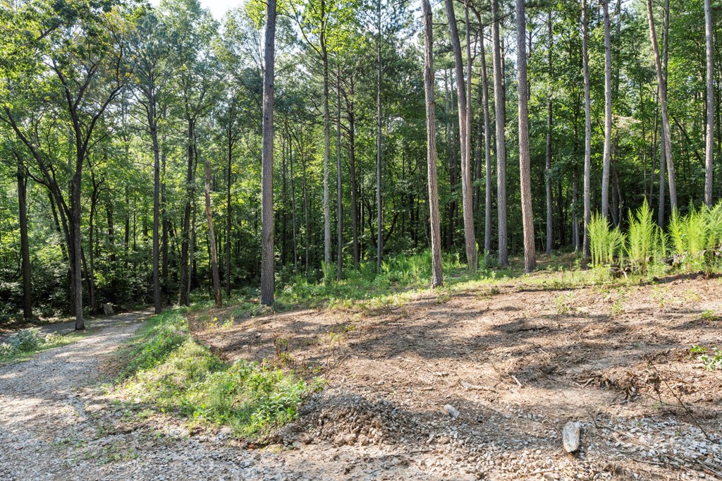 1080 Holt Road Ellijay, GA 30536 - Photo 6 of 17