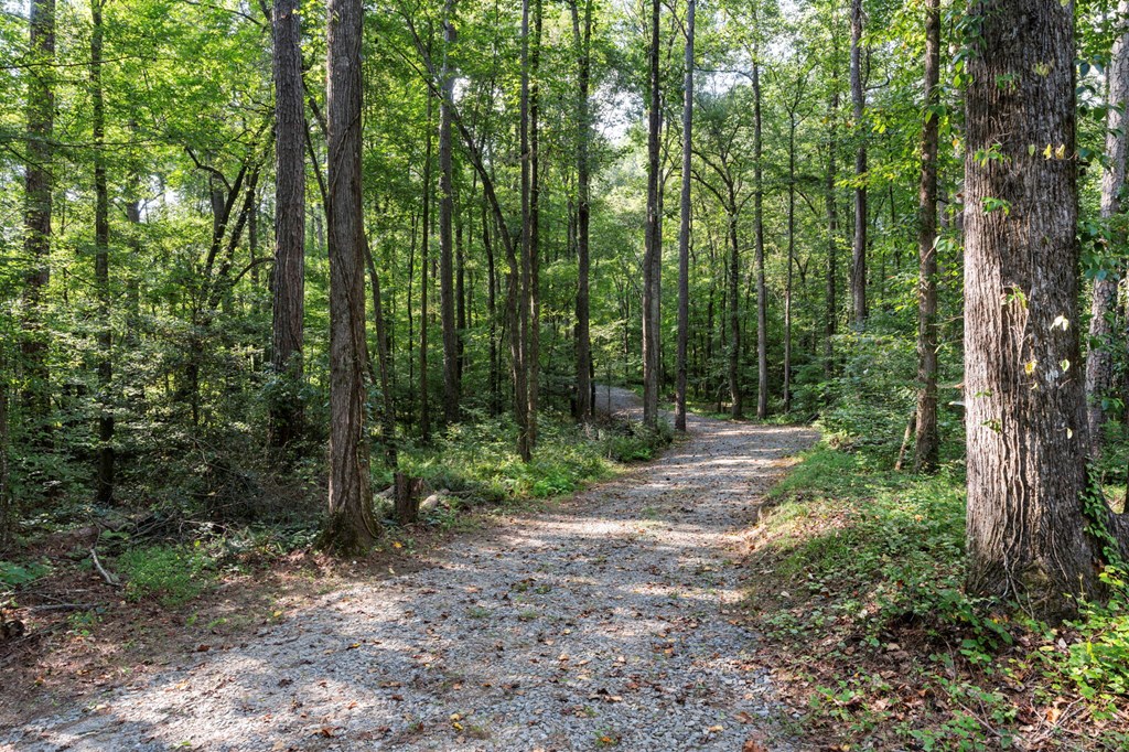1080 Holt Road Ellijay, GA 30536 - Photo 8 of 17