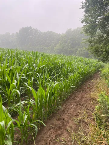 $629,000 | 44 East E Road, Franklin, IN 46131