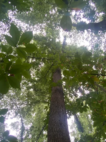 $629,000 | 44 East E Road, Franklin, IN 46131