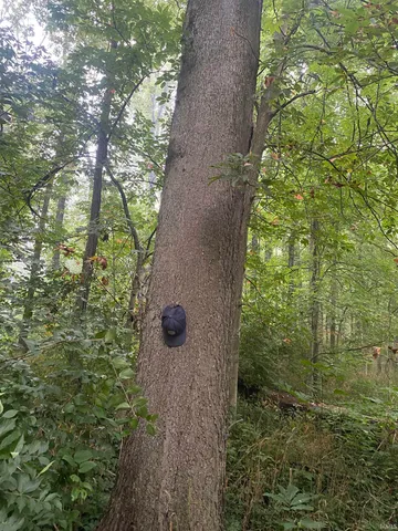 $629,000 | 44 East E Road, Franklin, IN 46131