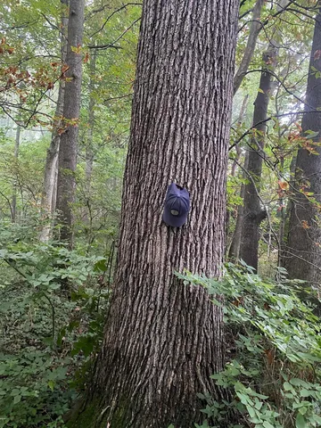 $629,000 | 44 East E Road, Franklin, IN 46131