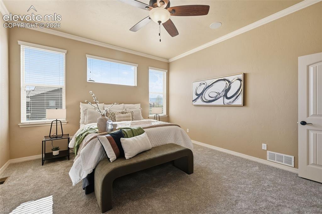 13184 Cake Bread Heights Colorado Springs, CO 80921 - Photo 21 of 47 Crown moulding and tall ceilings