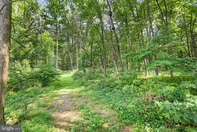 a view of outdoor space and green space