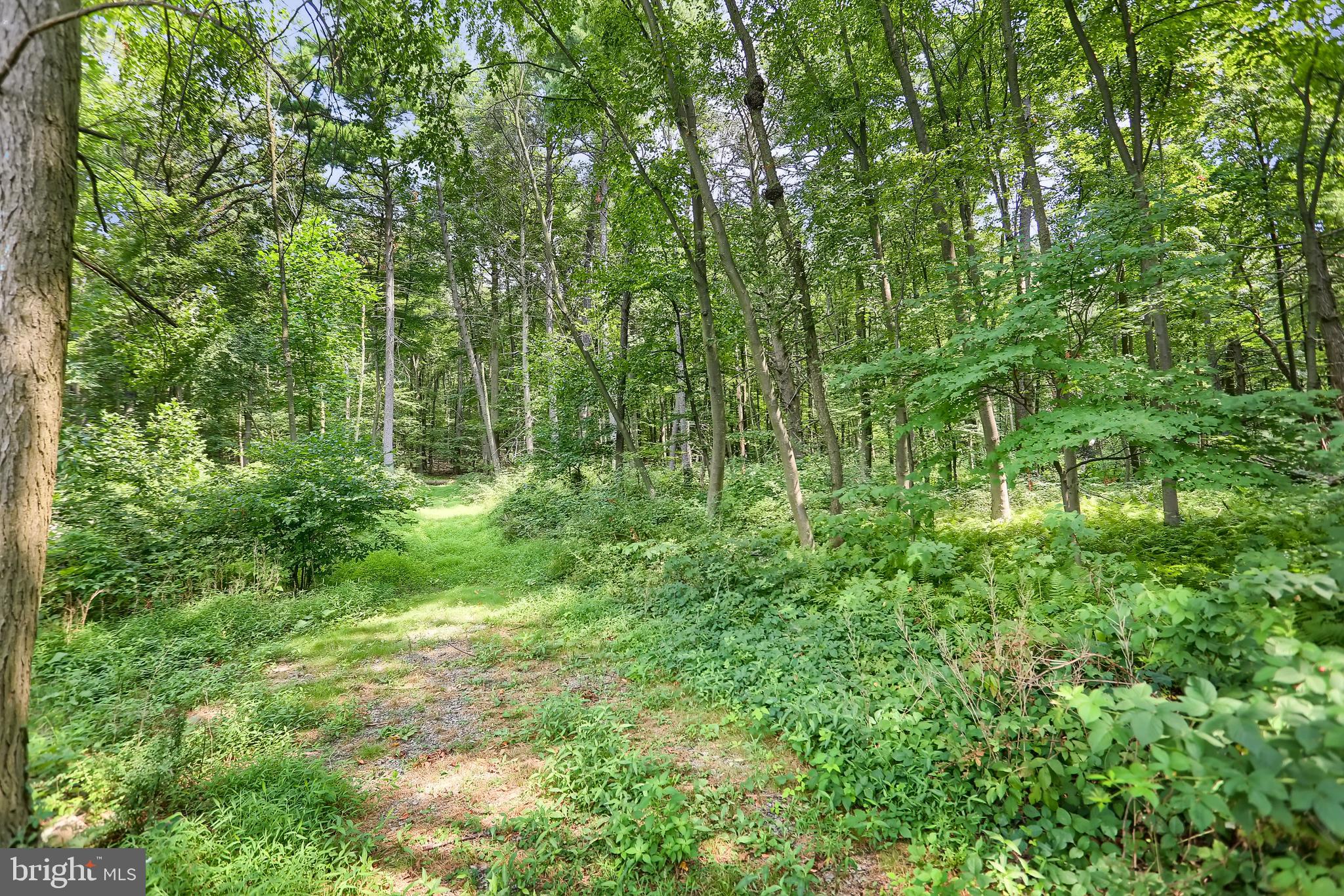 767 Luxemburg Road Lykens, PA 17048 - Photo 13 of 17 a view of outdoor space and green space