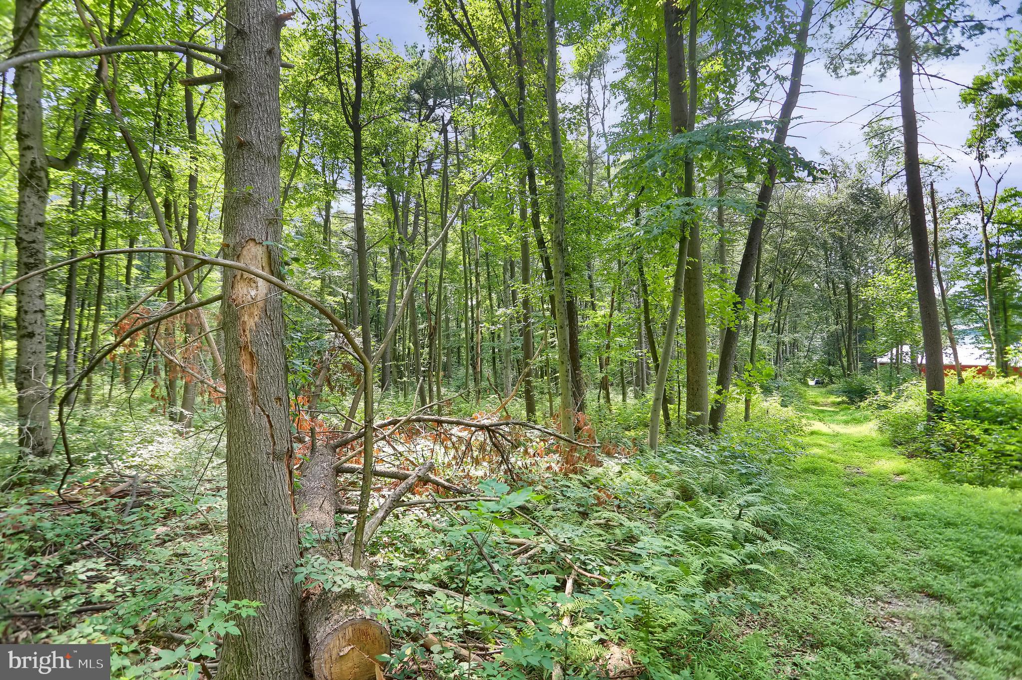 767 Luxemburg Road Lykens, PA 17048 - Photo 15 of 17