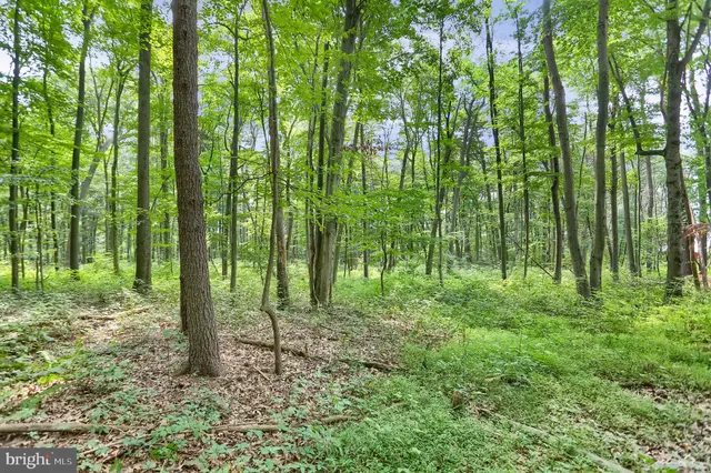 a view of outdoor space and green space