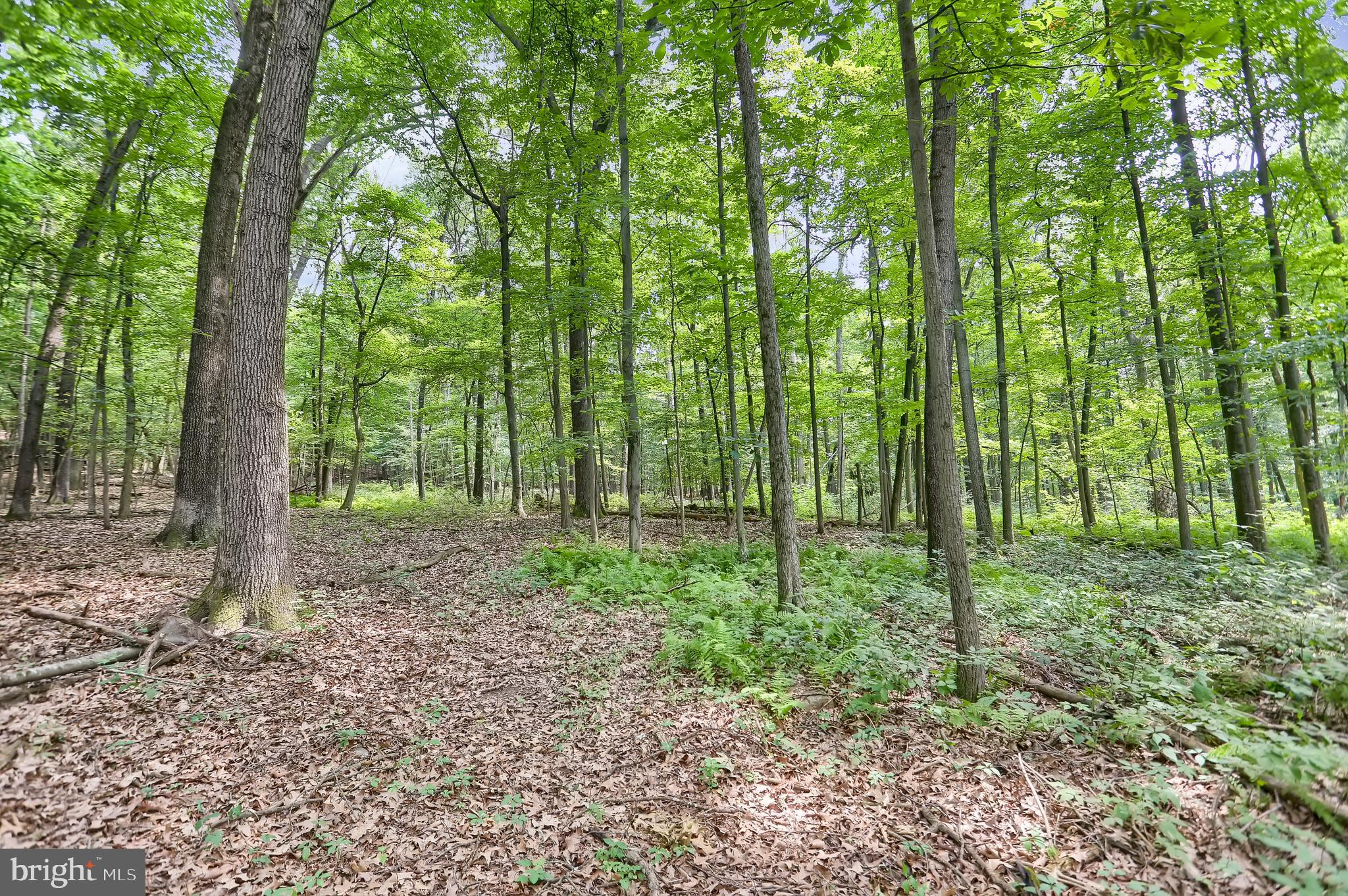 767 Luxemburg Road Lykens, PA 17048 - Photo 17 of 17 a view of outdoor space and green space