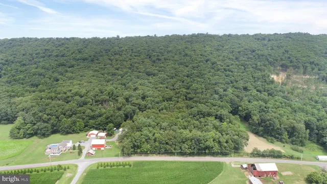 a view of a city with lush green forest