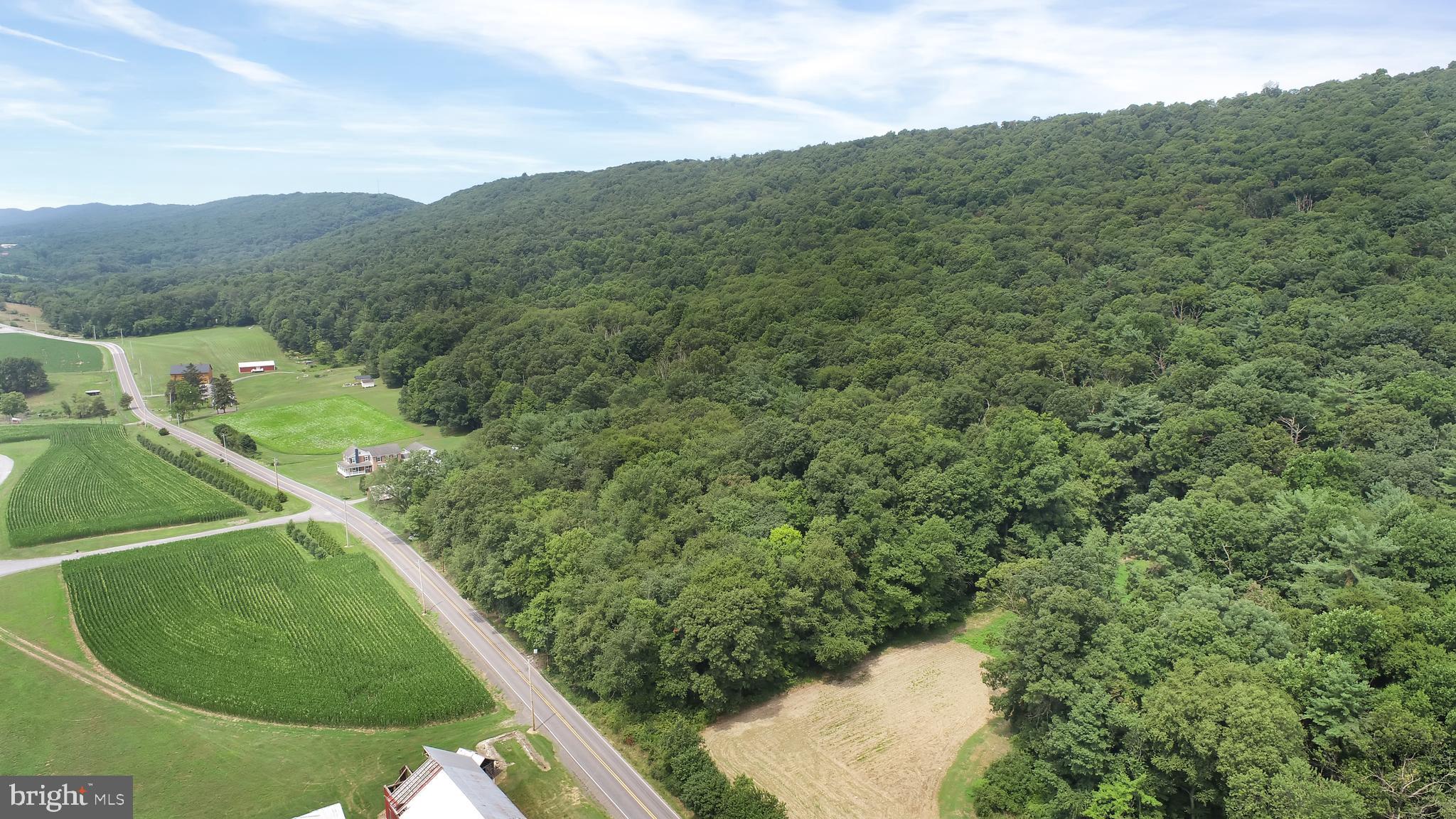 767 Luxemburg Road Lykens, PA 17048 - Photo 4 of 17 a view of a forest with a houses