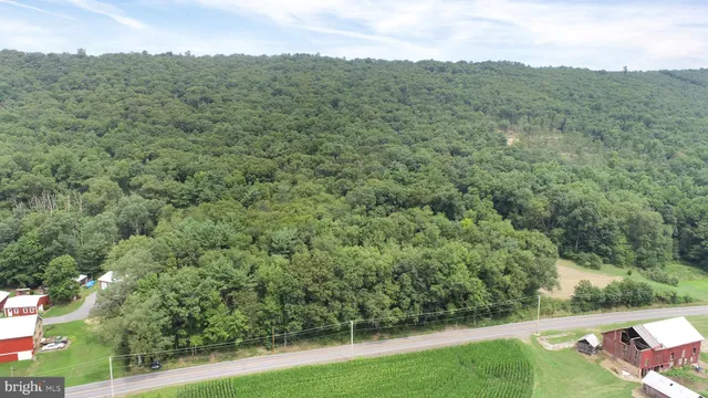a view of a lush green forest with a small yard