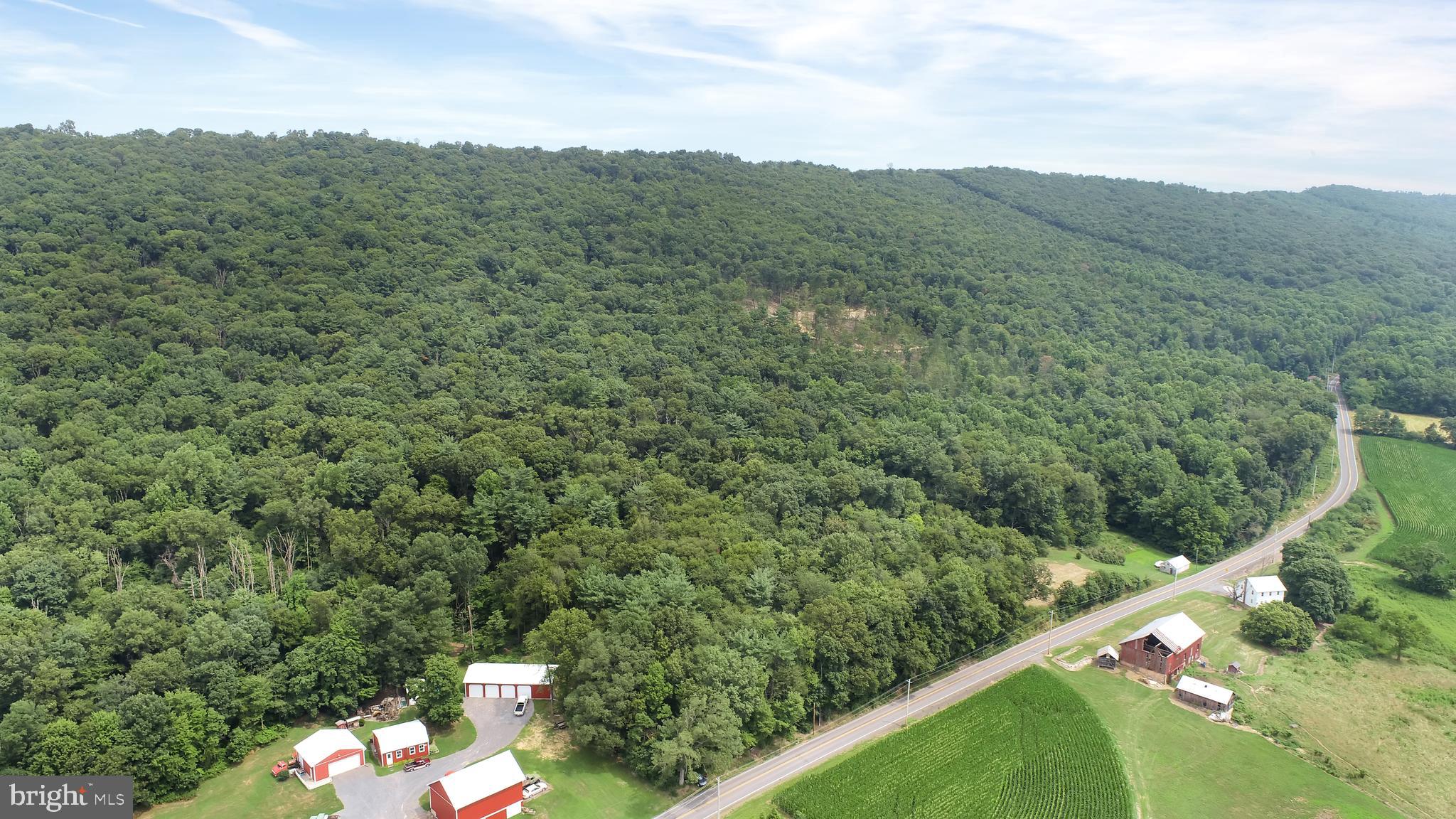 767 Luxemburg Road Lykens, PA 17048 - Photo 7 of 17 a view of a forest with a mountain in the background