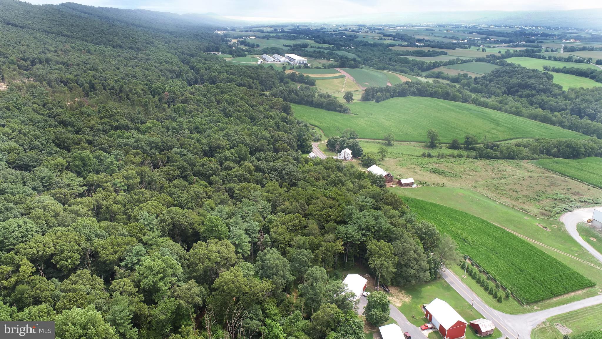 767 Luxemburg Road Lykens, PA 17048 - Photo 9 of 17 an aerial view of green landscape with trees