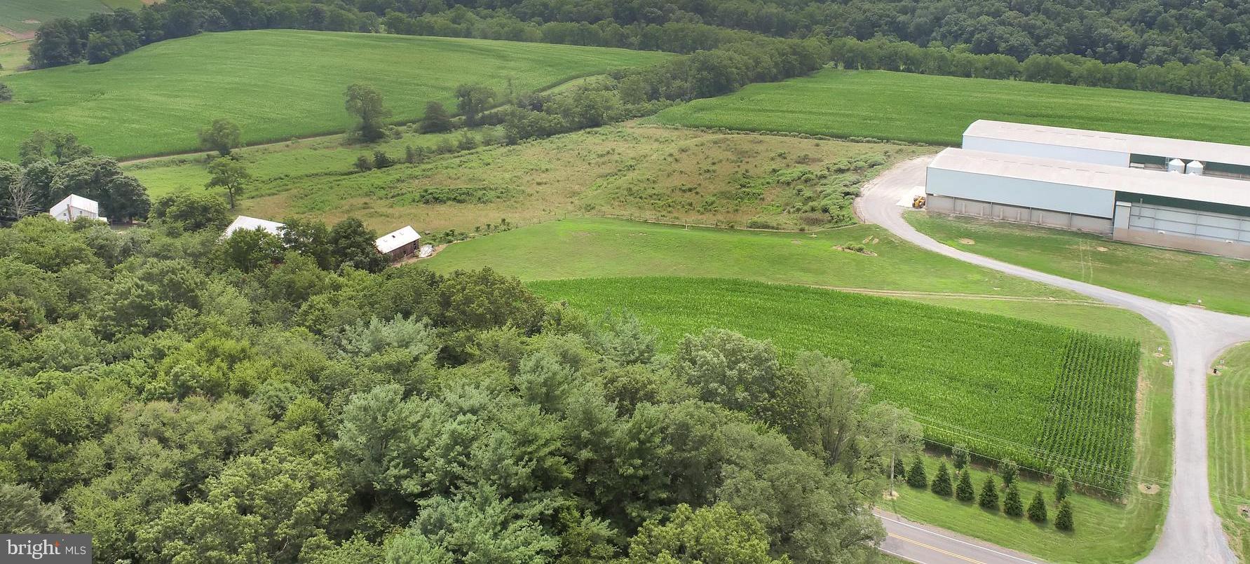 767 Luxemburg Road Lykens, PA 17048 - Photo 10 of 17 a view of a green yard with large trees