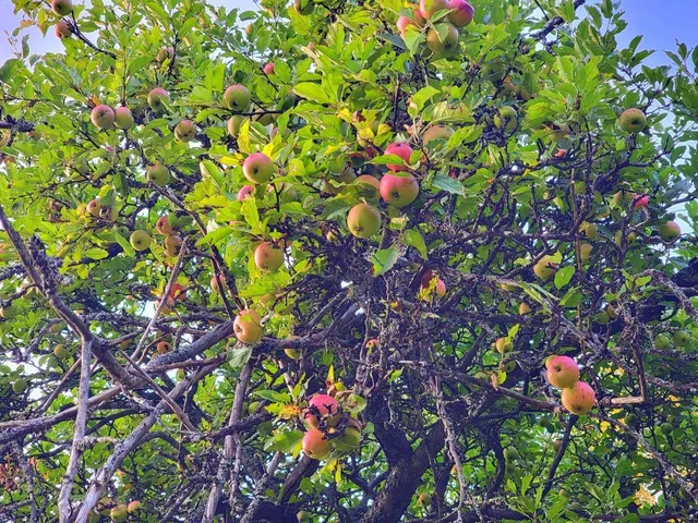 $520,000 | 15 Jackson Hole Drive, Carthage, ME 04224