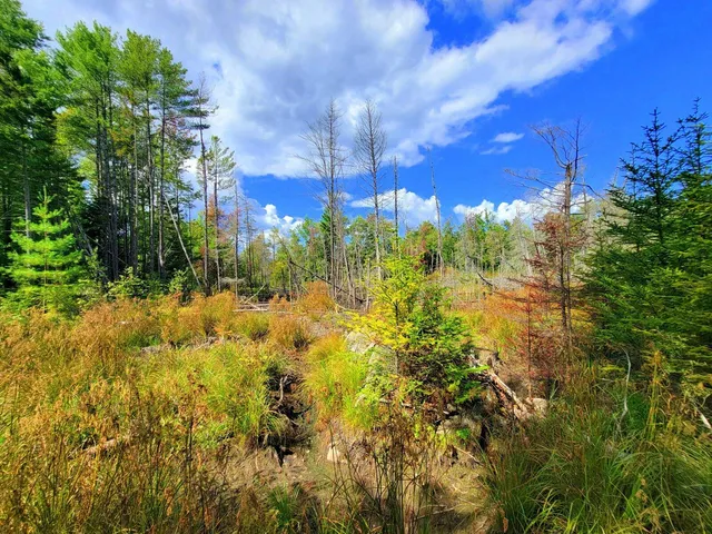 $520,000 | 15 Jackson Hole Drive, Carthage, ME 04224