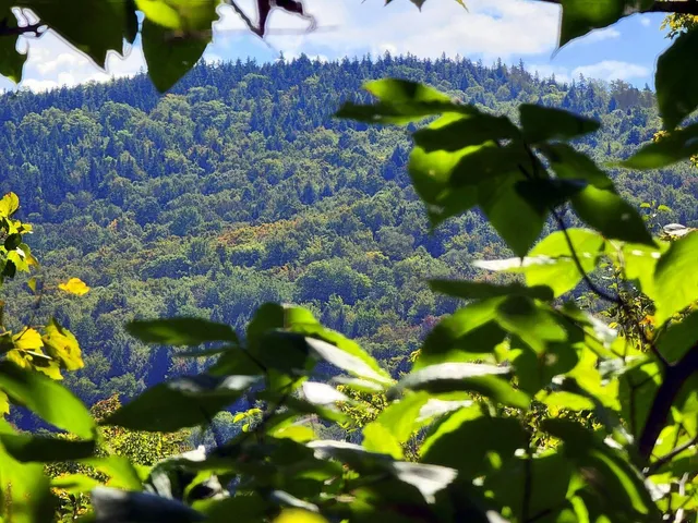 $520,000 | 15 Jackson Hole Drive, Carthage, ME 04224