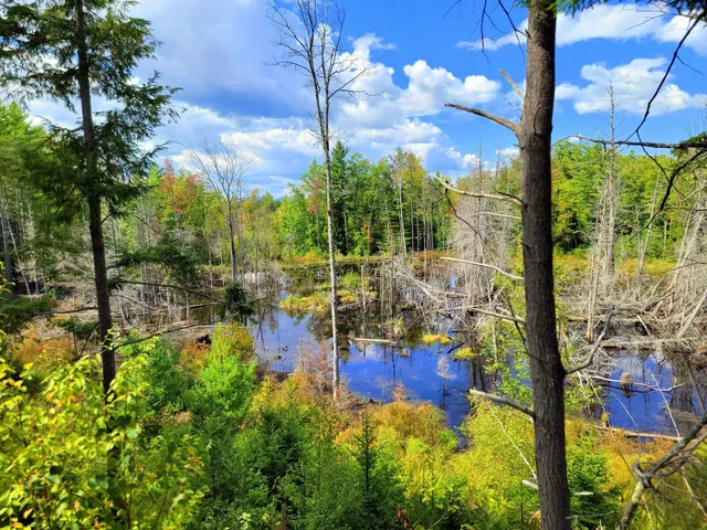 $520,000 | 15 Jackson Hole Drive, Carthage, ME 04224